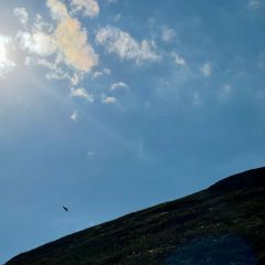 image-15-07-26-12-15-1